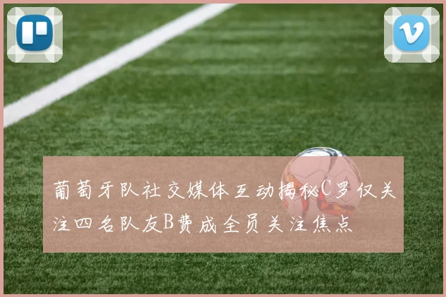 葡萄牙队社交媒体互动揭秘C罗仅关注四名队友B费成全员关注焦点
