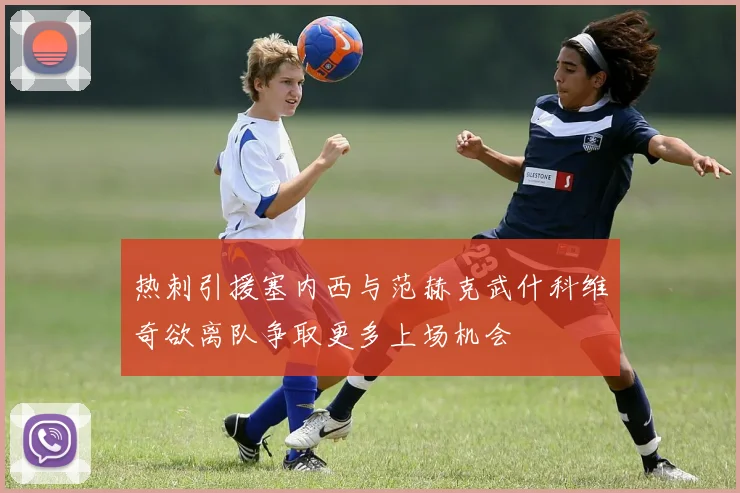 热刺引援塞内西与范赫克武什科维奇欲离队争取更多上场机会